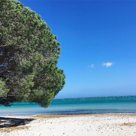 Appartement Proche Des Plus Belles Plages بورتو فيكشْيو المظهر الخارجي الصورة