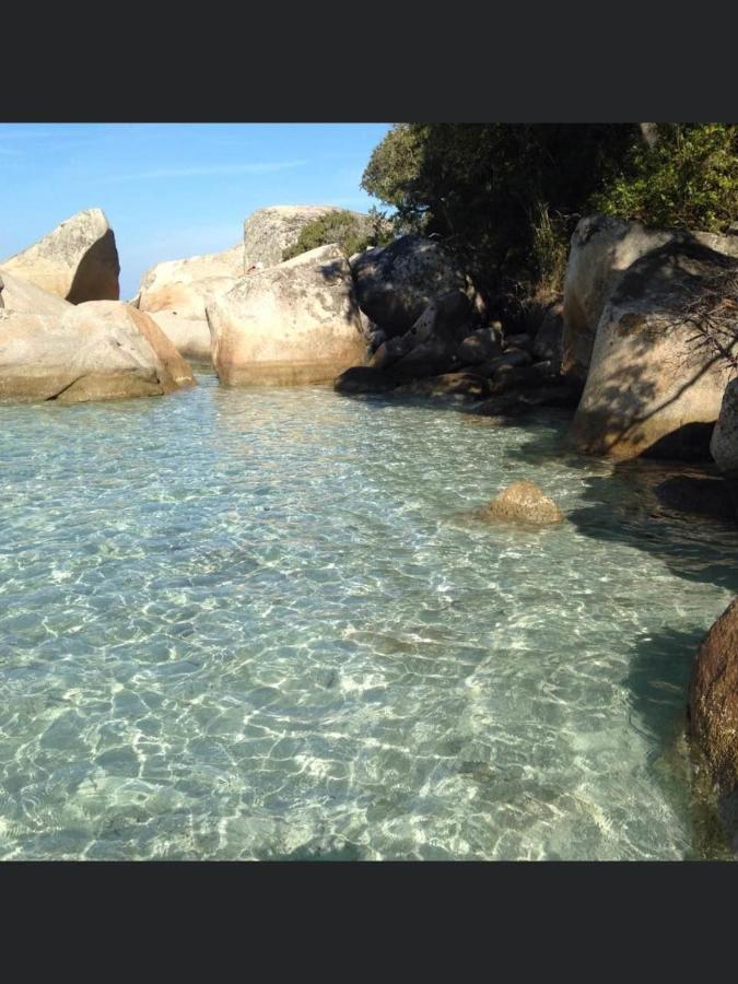 Appartement Proche Des Plus Belles Plages بورتو فيكشْيو المظهر الخارجي الصورة